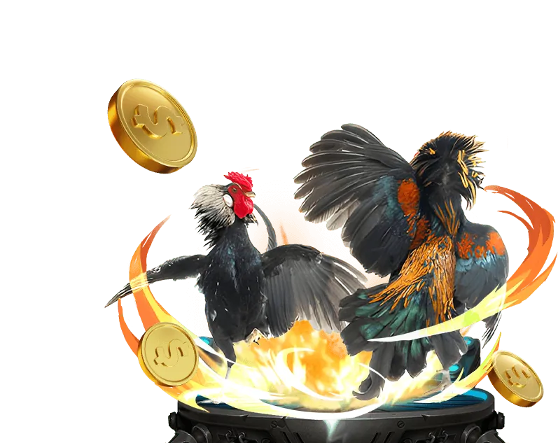 Hoàn trả thể thao hàng ngày